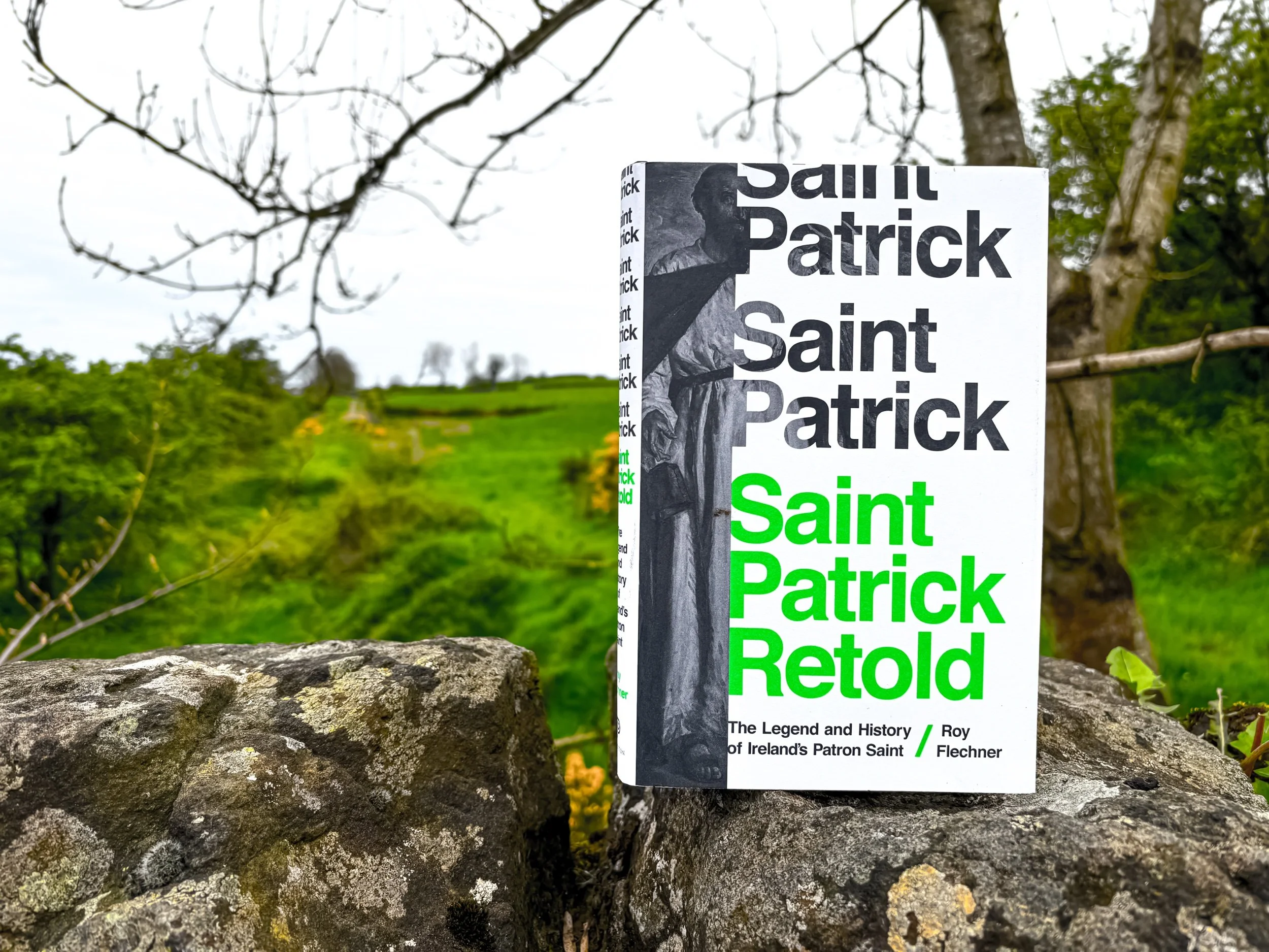 Saint Patrick Retold: The Legend and History of Ireland’s Patron Saint - Roy Flechner