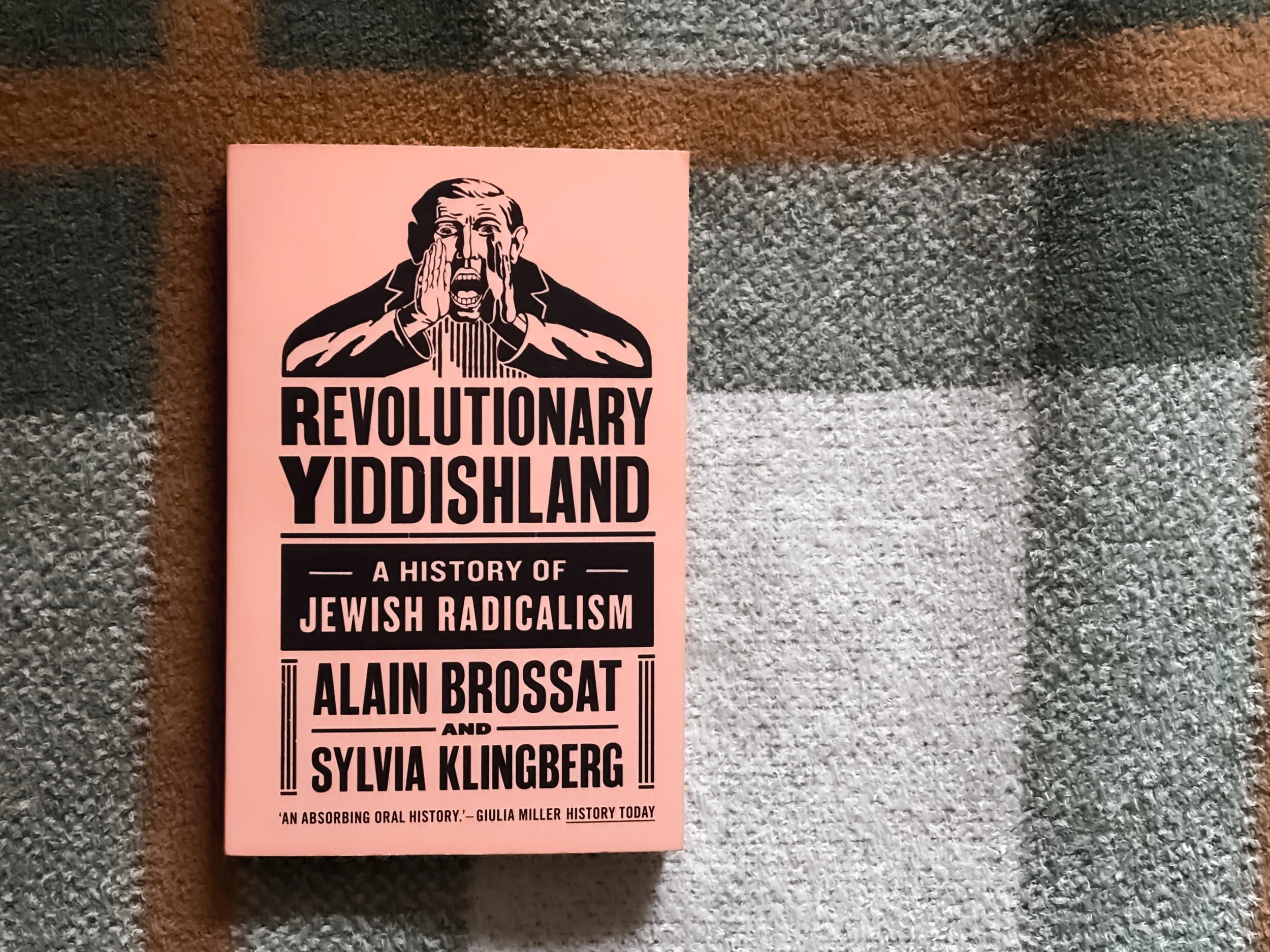 Revolutionary Yiddishland: A History of Jewish Radicalism - Alain Brossat and Sylvia Klingberg