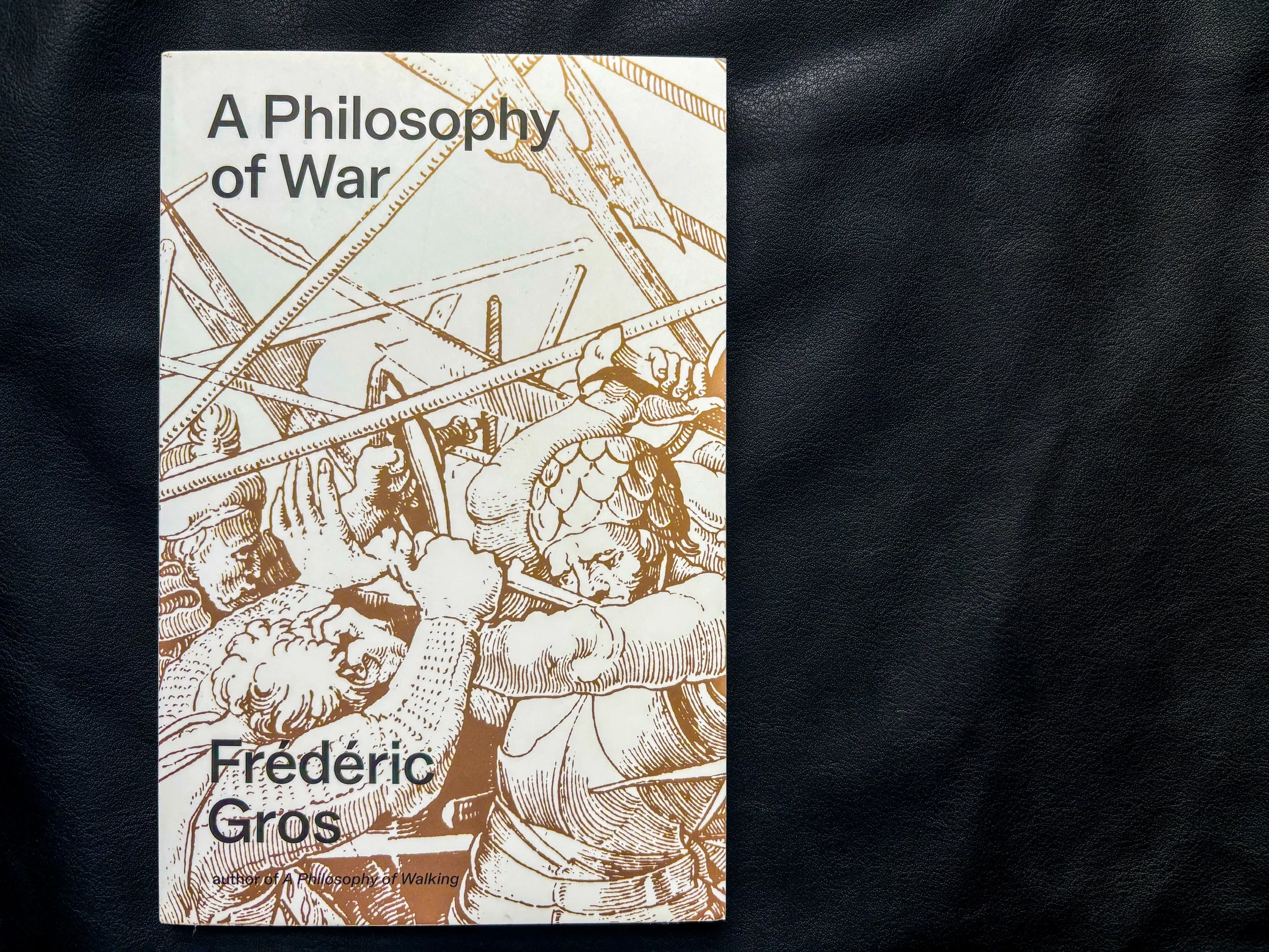 A Philosophy of War: Why We Fight - Frédéric Gros