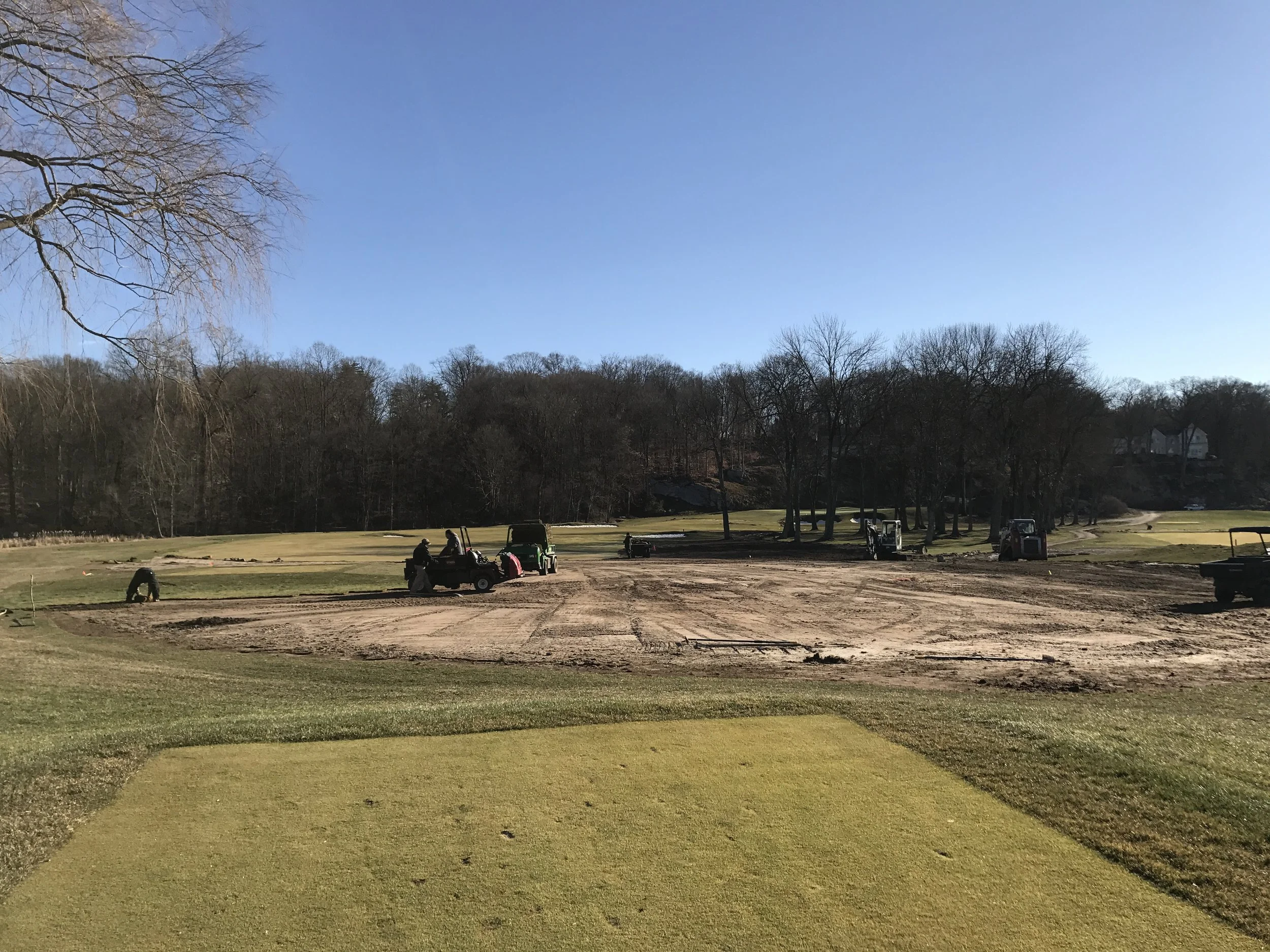 Burning Tree Rough Improvement