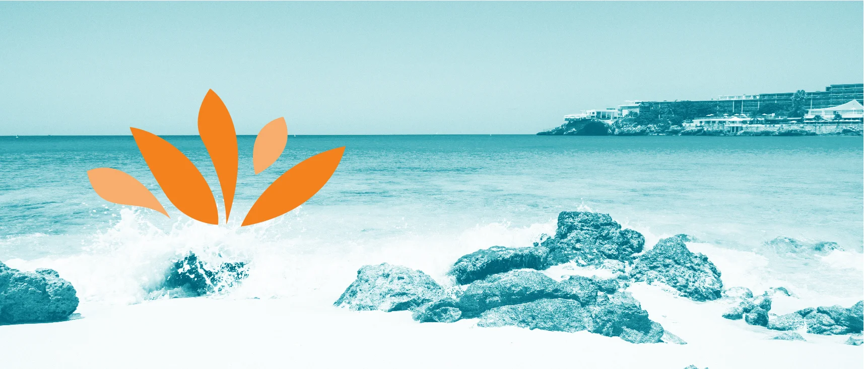website-banners-63.jpg