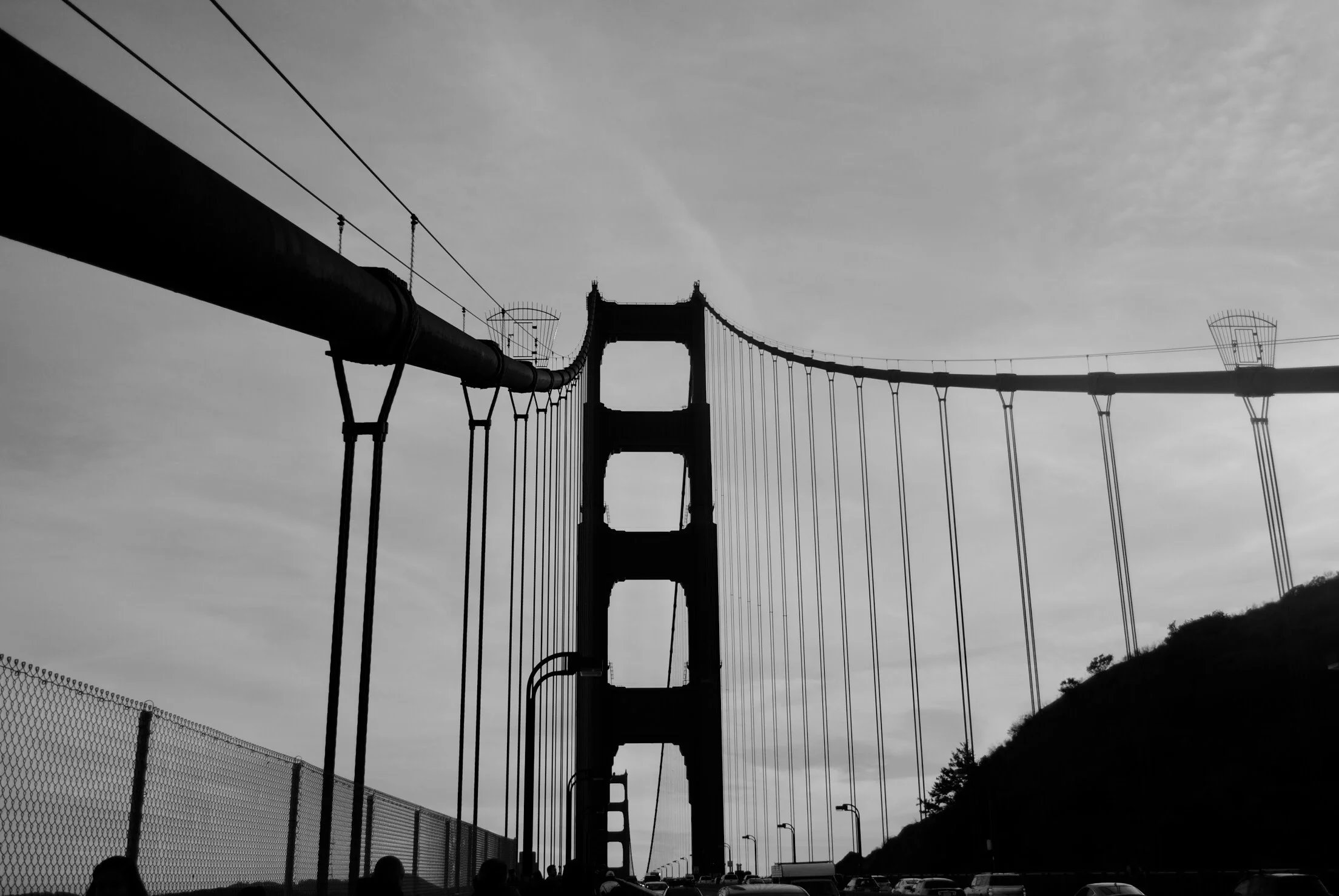 IMG_9429.jpg