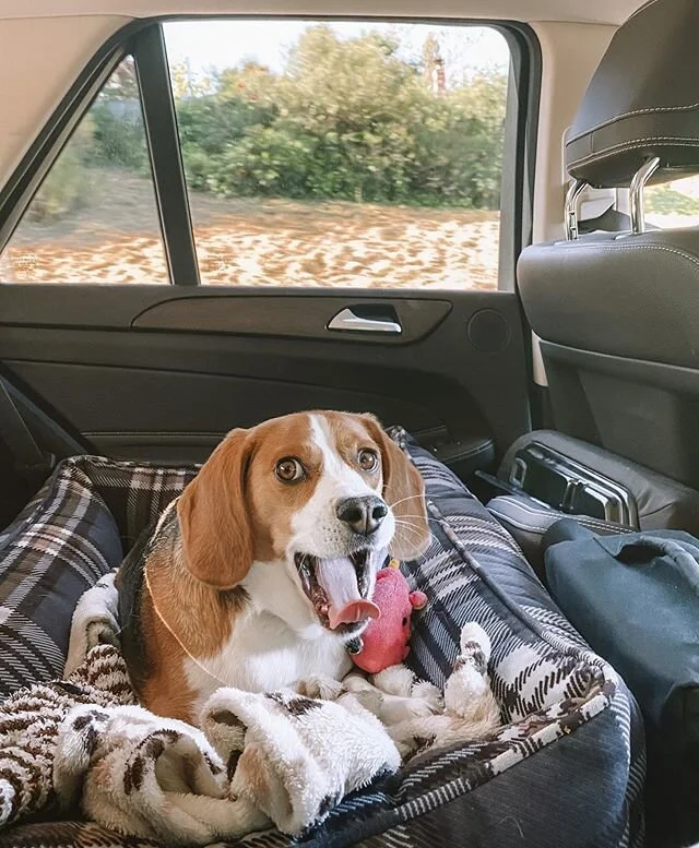 Sterling has a better road trip set up than me...