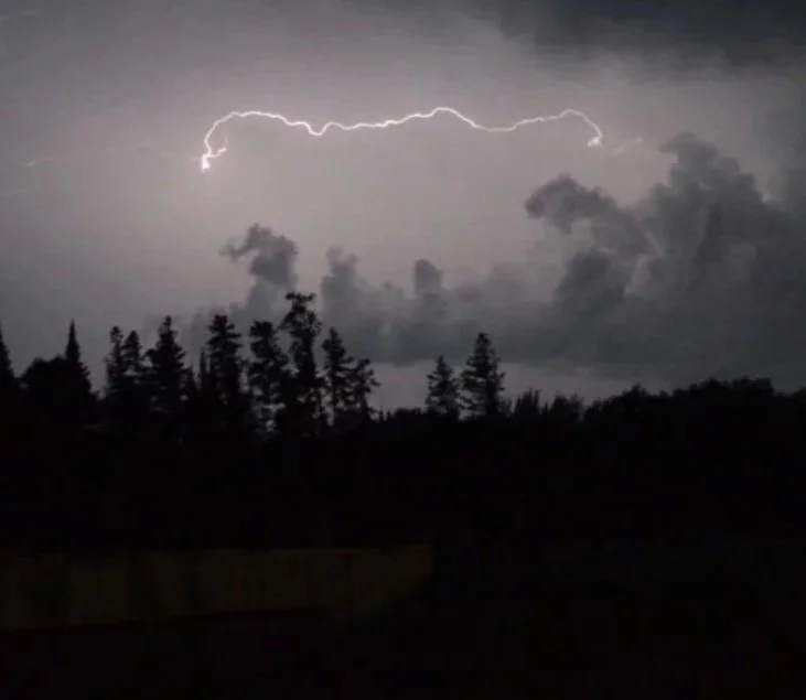 Lightning strikes in a cloudy night sky above a silhouette of trees.