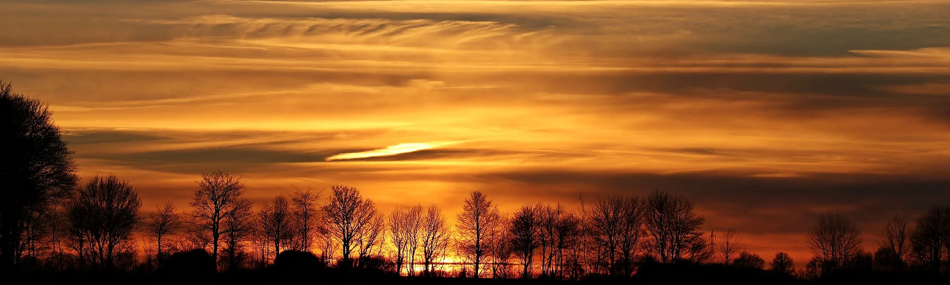 silhouetted trees against a vibrant orange and yellow sunset sky with layered clouds.