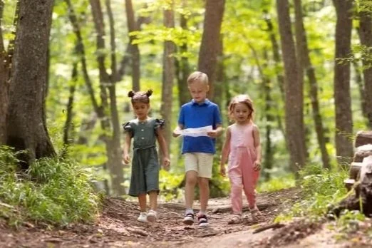 Three children walking on a dirt trail in a forest with green trees and sunlight.