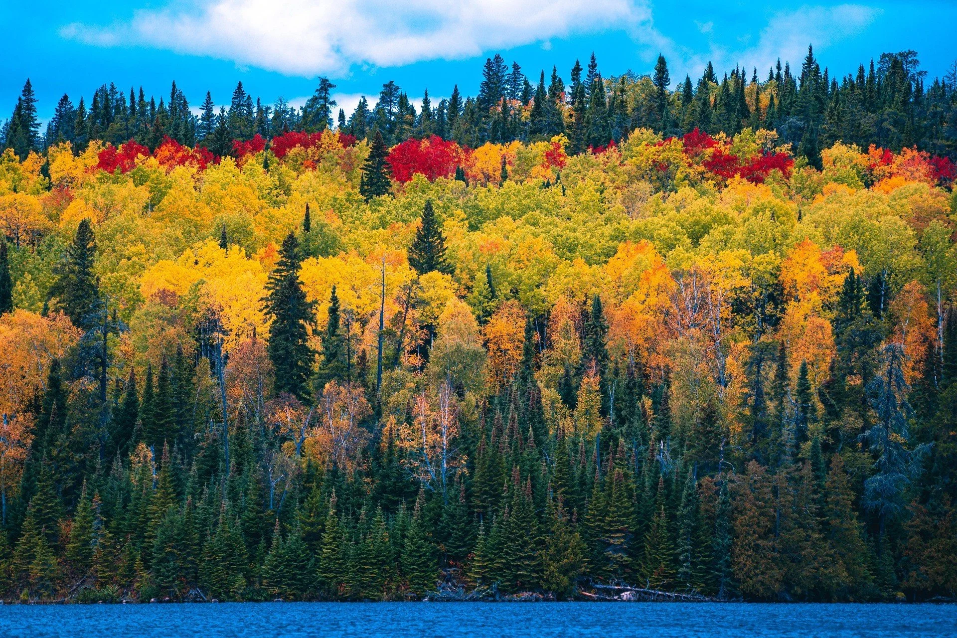 A forested hillside with colorful fall foliage seen across a body of water under a blue sky with clouds.