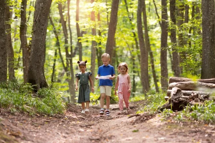 children walking in forest.jpg