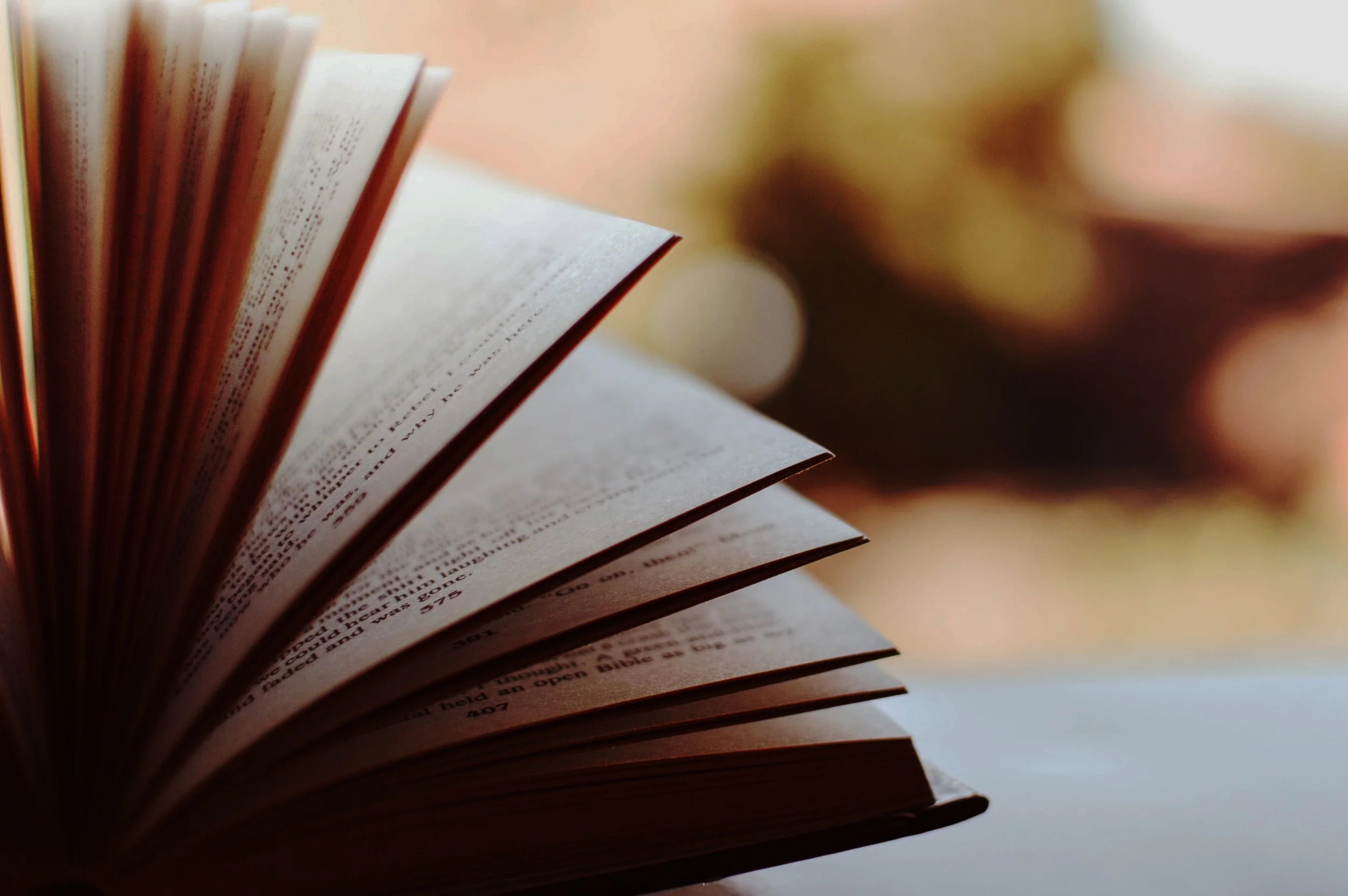 blur-blurred-book-46274.jpg