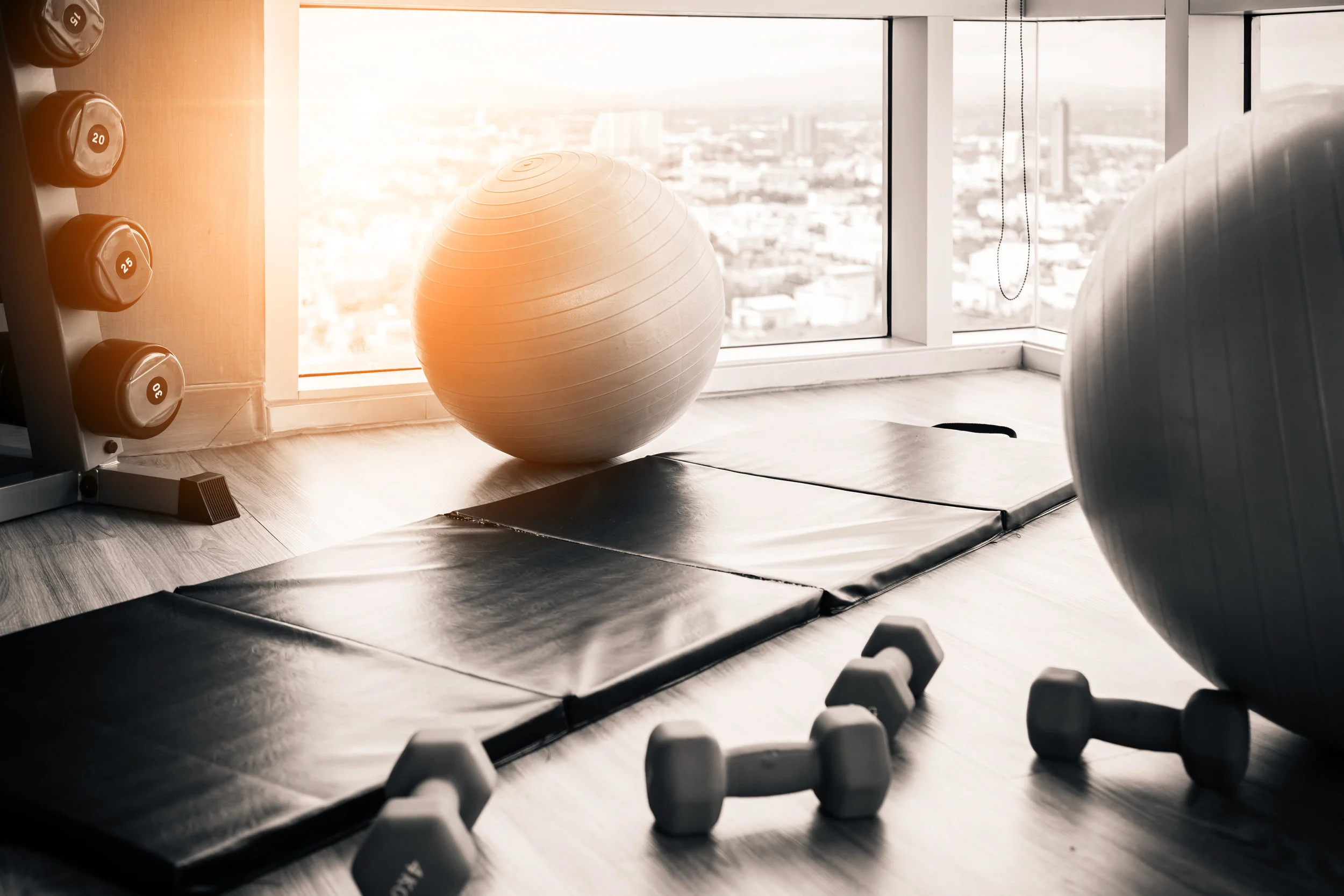 YOGA BALL PIC.jpeg