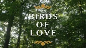 Loveclosely 'Birds of Love'