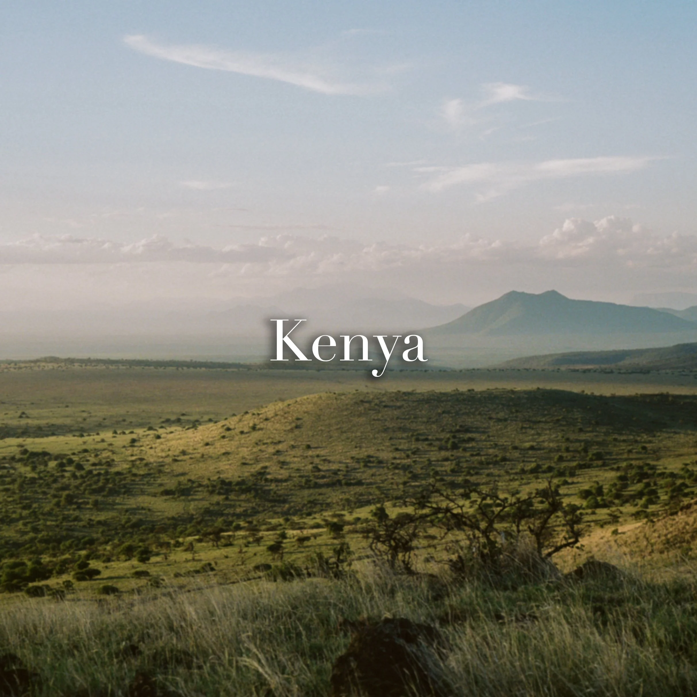 KENYA.jpg