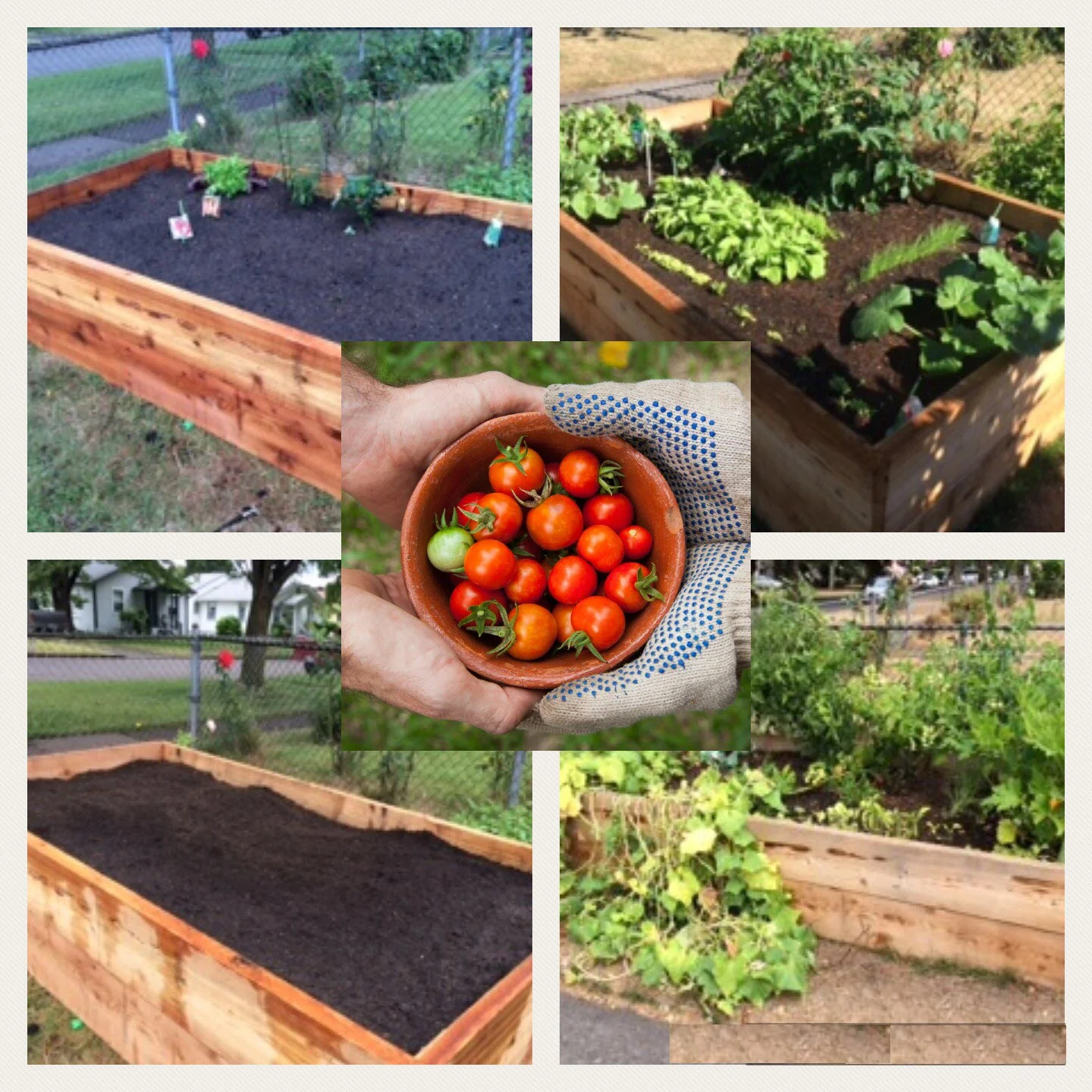 Home Veg.jpg