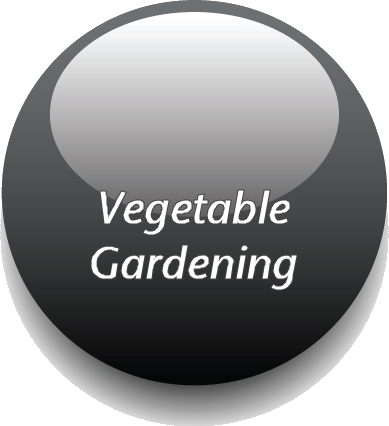 Web-vegetable.png