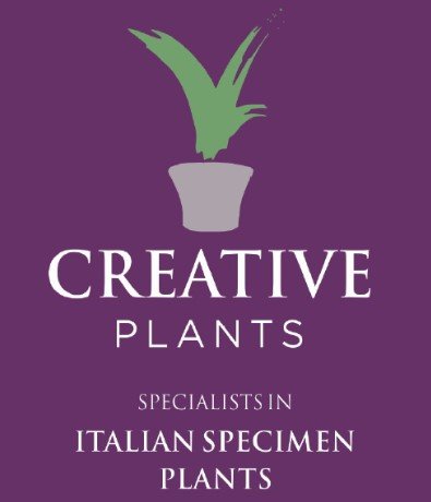 Creative Plants.jpeg