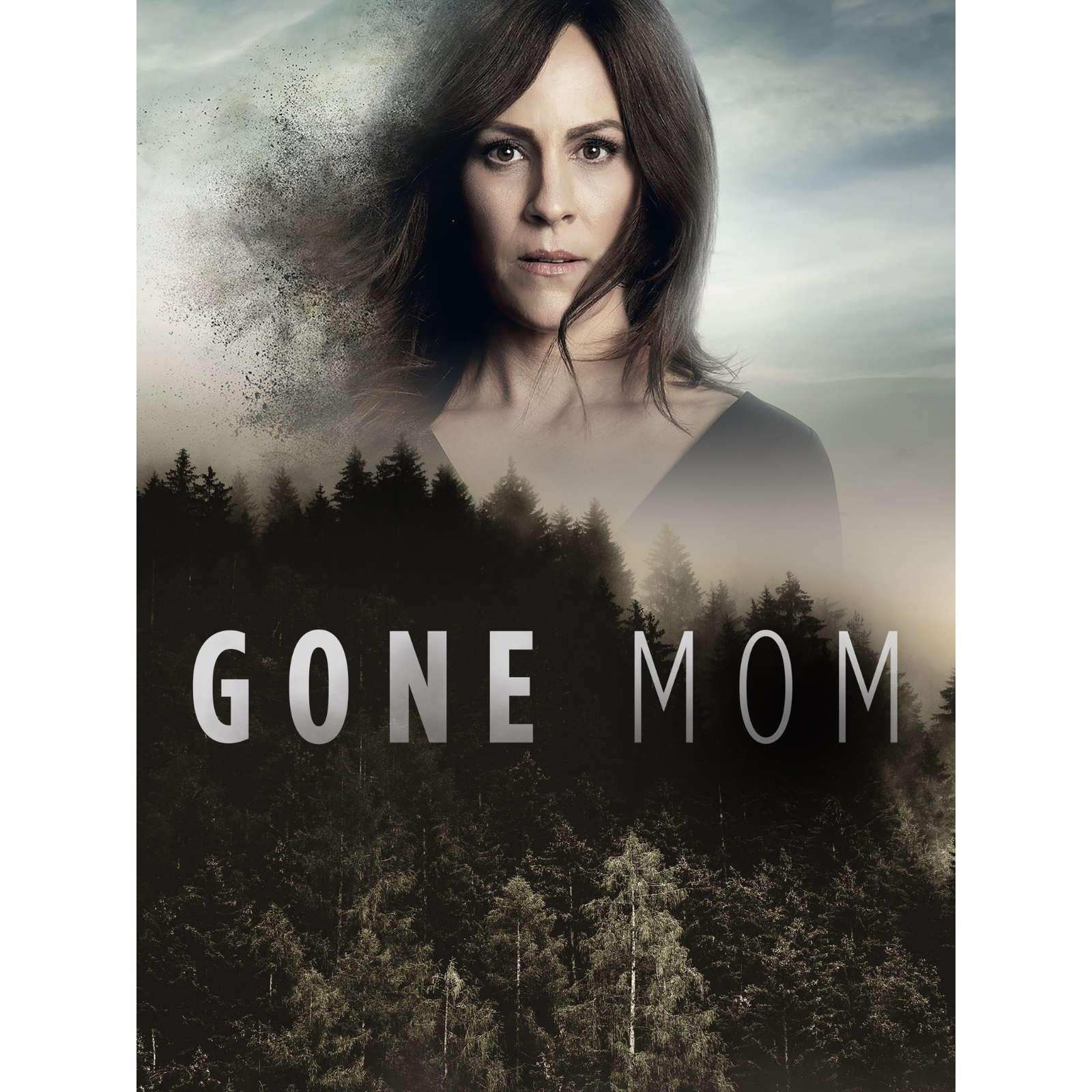 Website movie posters.png