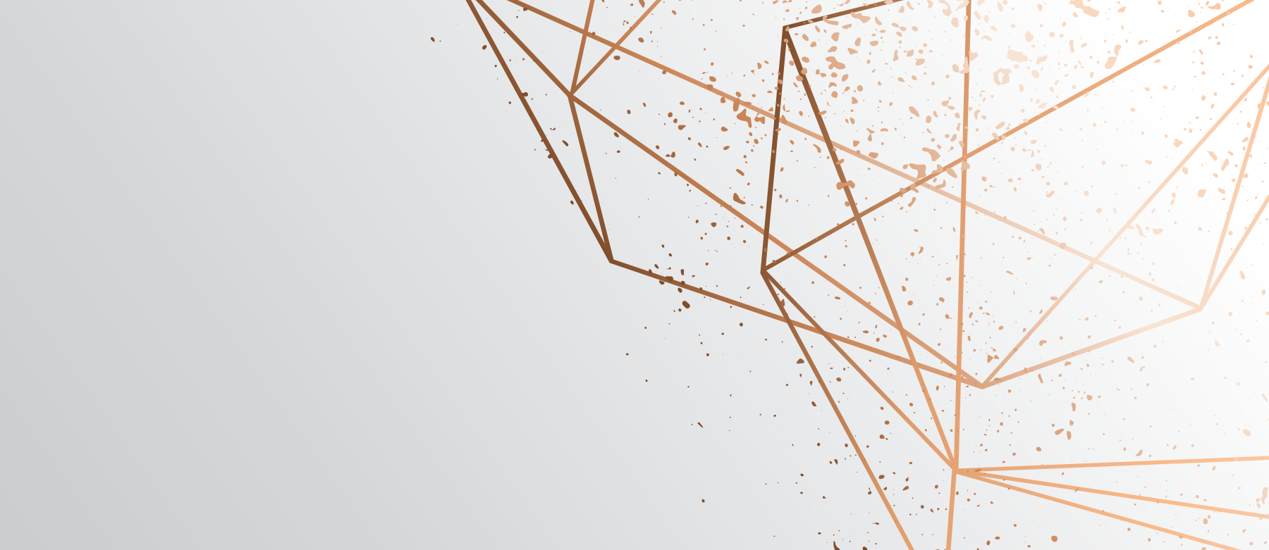 header bg 2.png