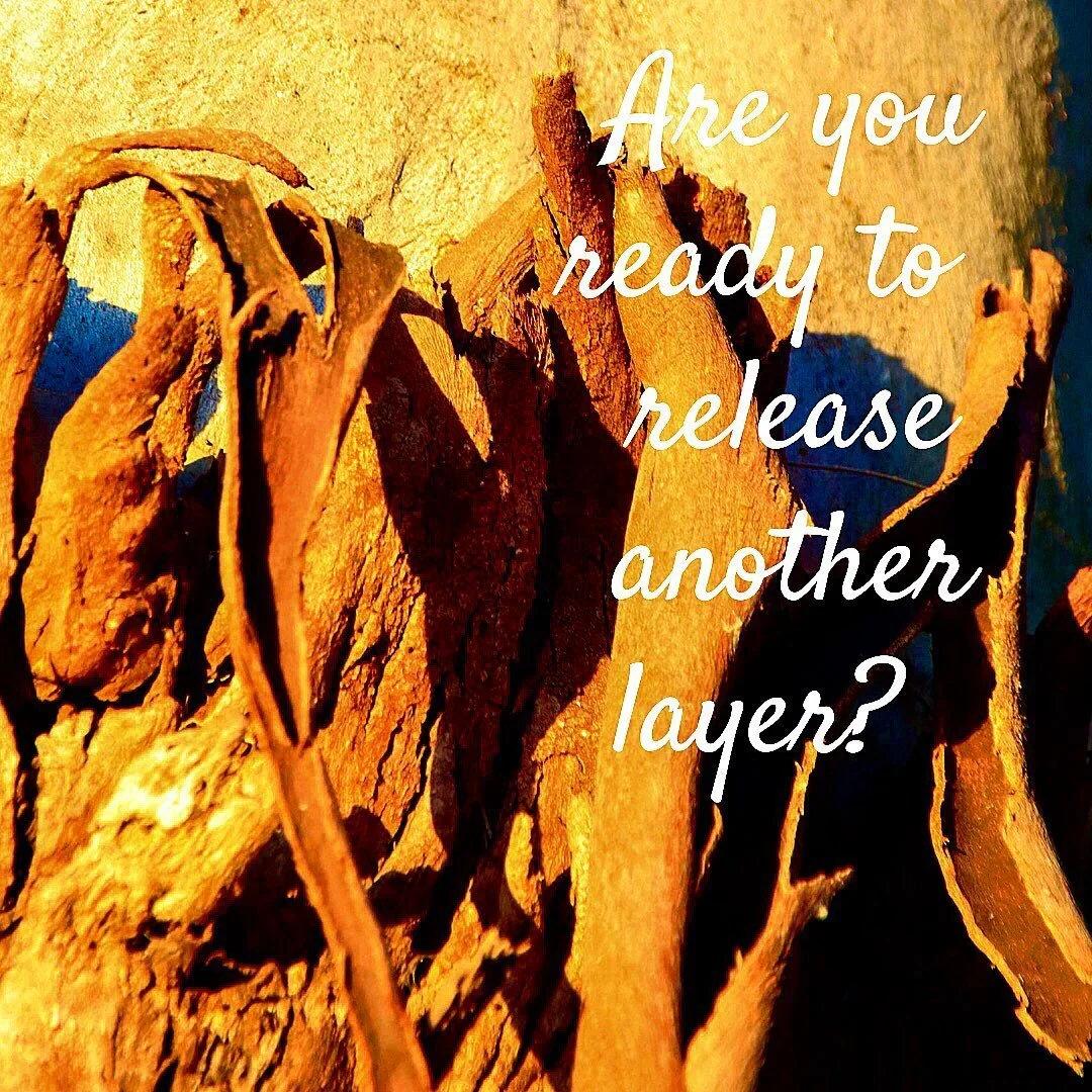 Are you feeling that deep inner call to embrace a new way? To let go of those parts of you that don&rsquo;t resonate anymore?  Trees shed their bark as their trunks expand and they rise. 

We are all being called to be true to ourselves, to embrace m