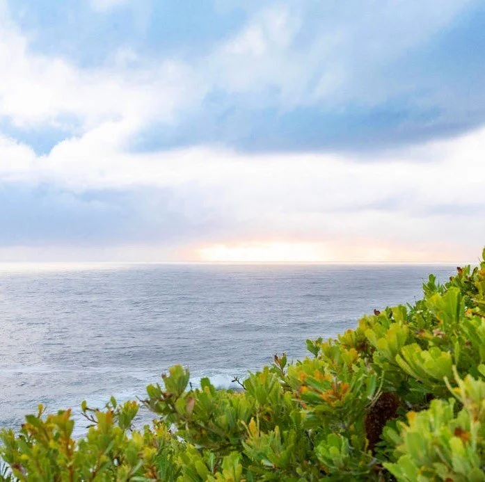 A little message to encourage you to stay strong, hold your power and trust in the light. There is light on the horizon in many ways. 

The planet is in the middle of a knockdown rebuild in so many ways too, beyond what can be seen and felt.

In thes