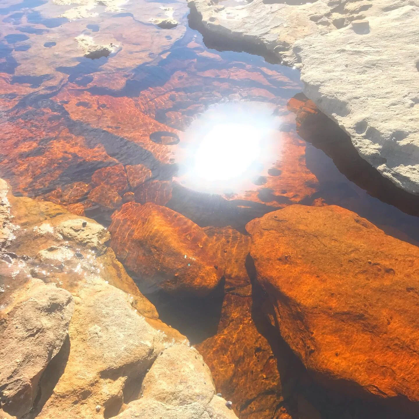 Be like the sunlight that cleans the waterhole. 

Sunlight is a great purifier. Your light too has an amazing power to transmute energy. 
Stay light, bright and shiny. 

#takeabreath #sunmedicine #shinebrightlikeadiamond