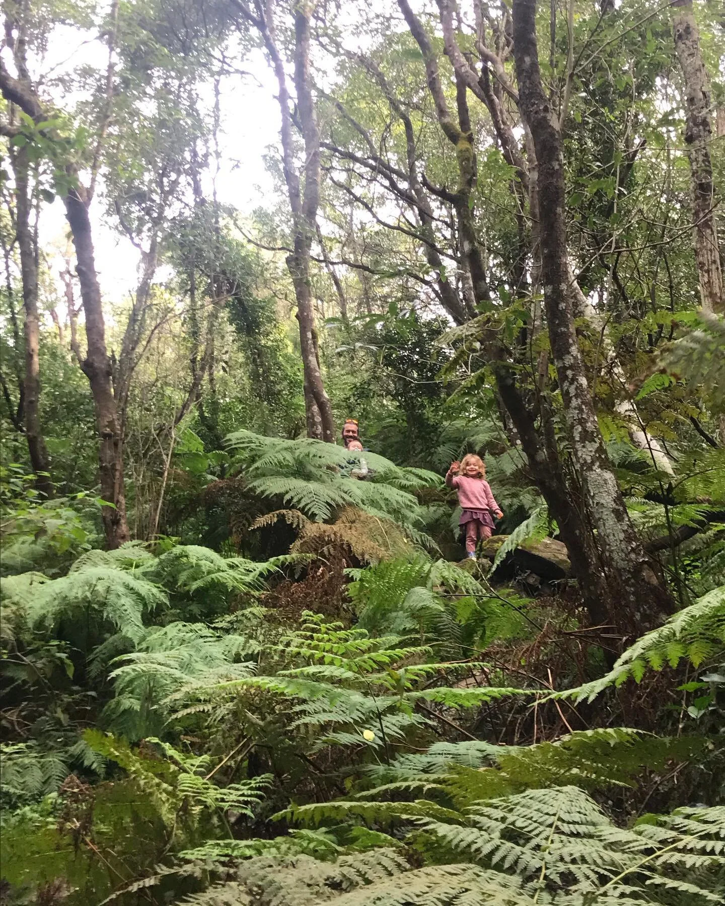 We find ourselves as a family exploring the lands I grew up on with new eyes. Green spaces I missed in my youth and others I know very well. 

The trees are talking, the rocks say &lsquo;sing,sing&rsquo;. 

My heart feels steady whenever I am with my
