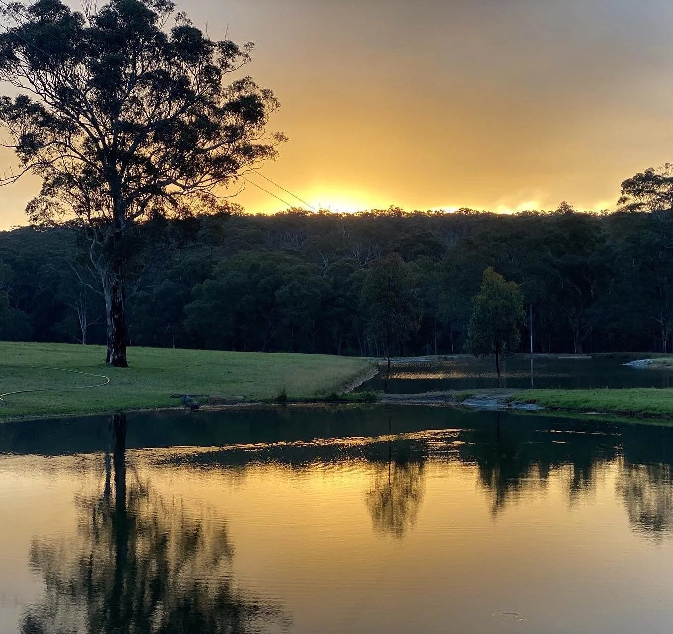 If you are looking for a beautiful reset in nature then this may be the opportunity your are looking for. A chance to slow down and connect, to breathe, to release and let the deeper inner guidance surface in space and silence. 

Join us in the Barn 
