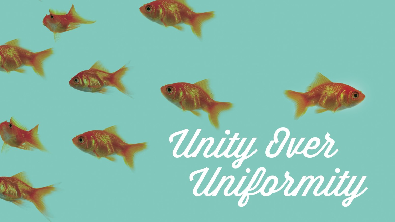 Unity Over Uniformity.jpg