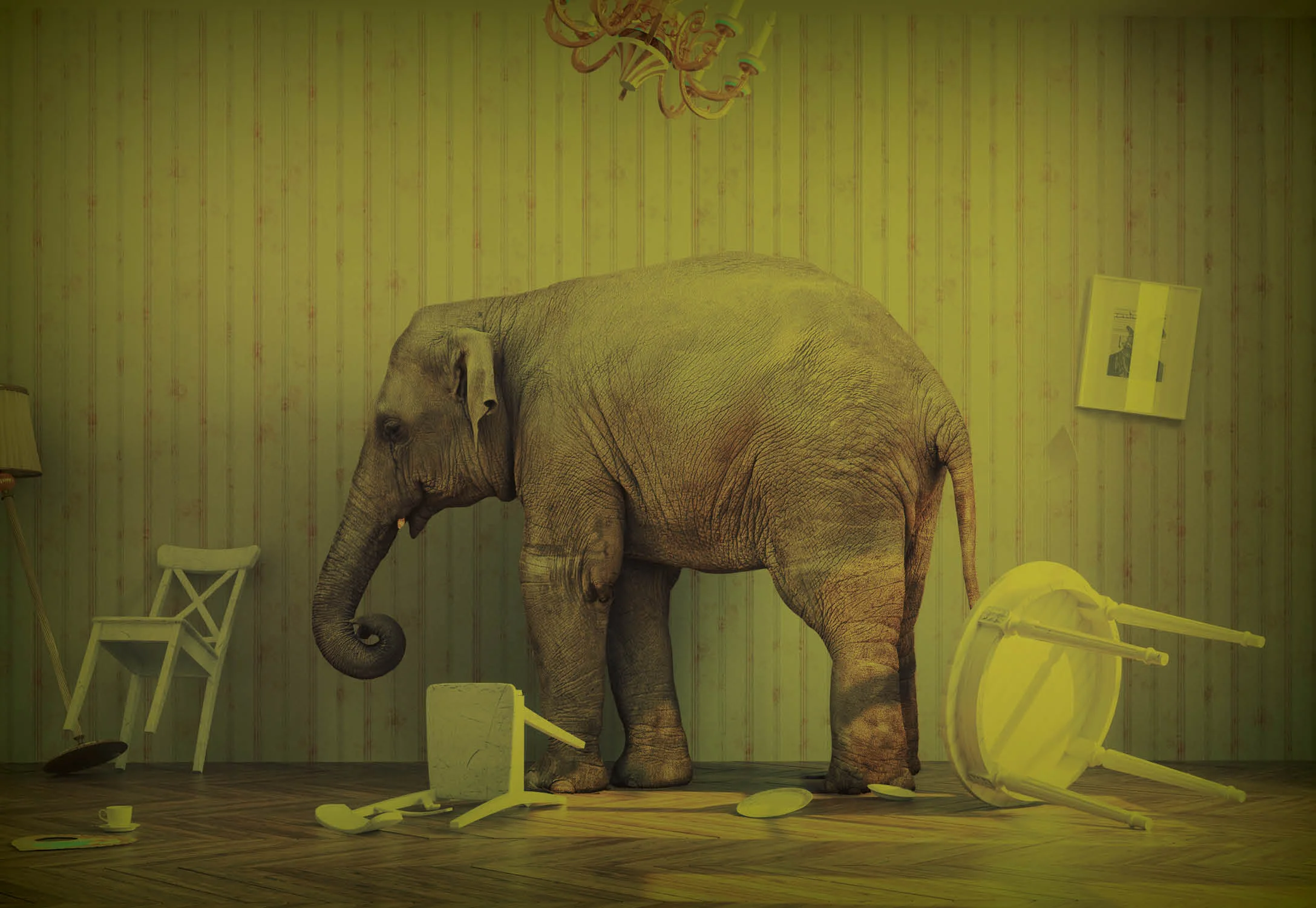 BIGGER IS NOT BETTER…BETTER IS BETTER