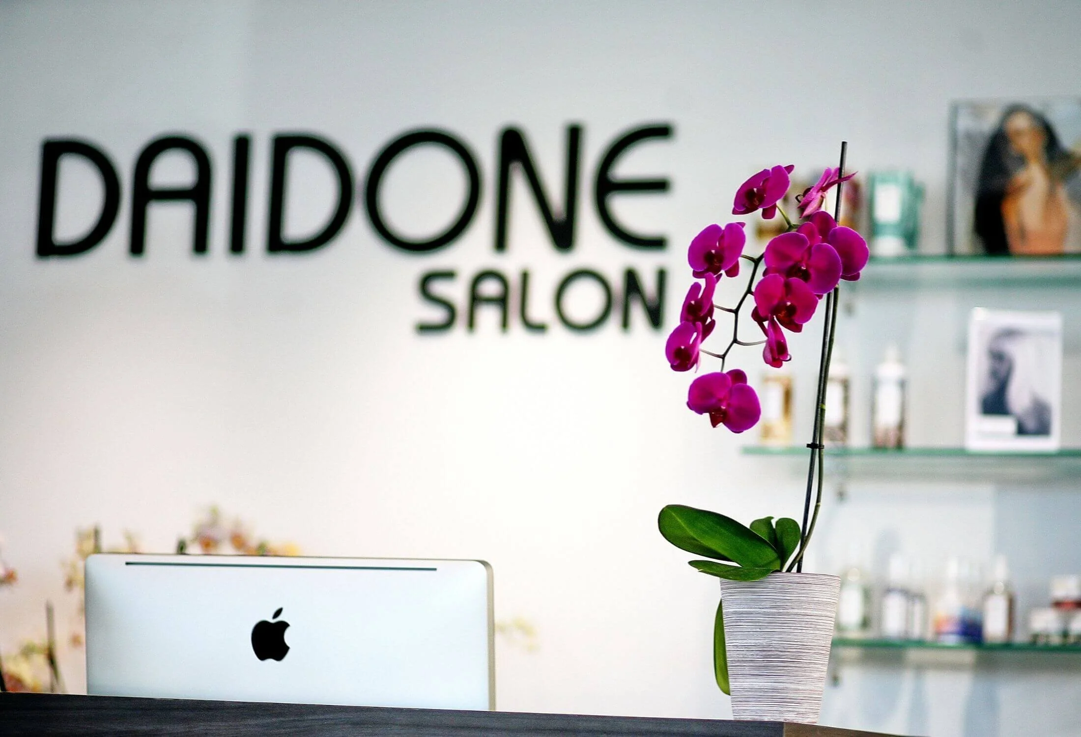Artistic-Daidone-logo-at-Santa-Monica-Salon.jpg
