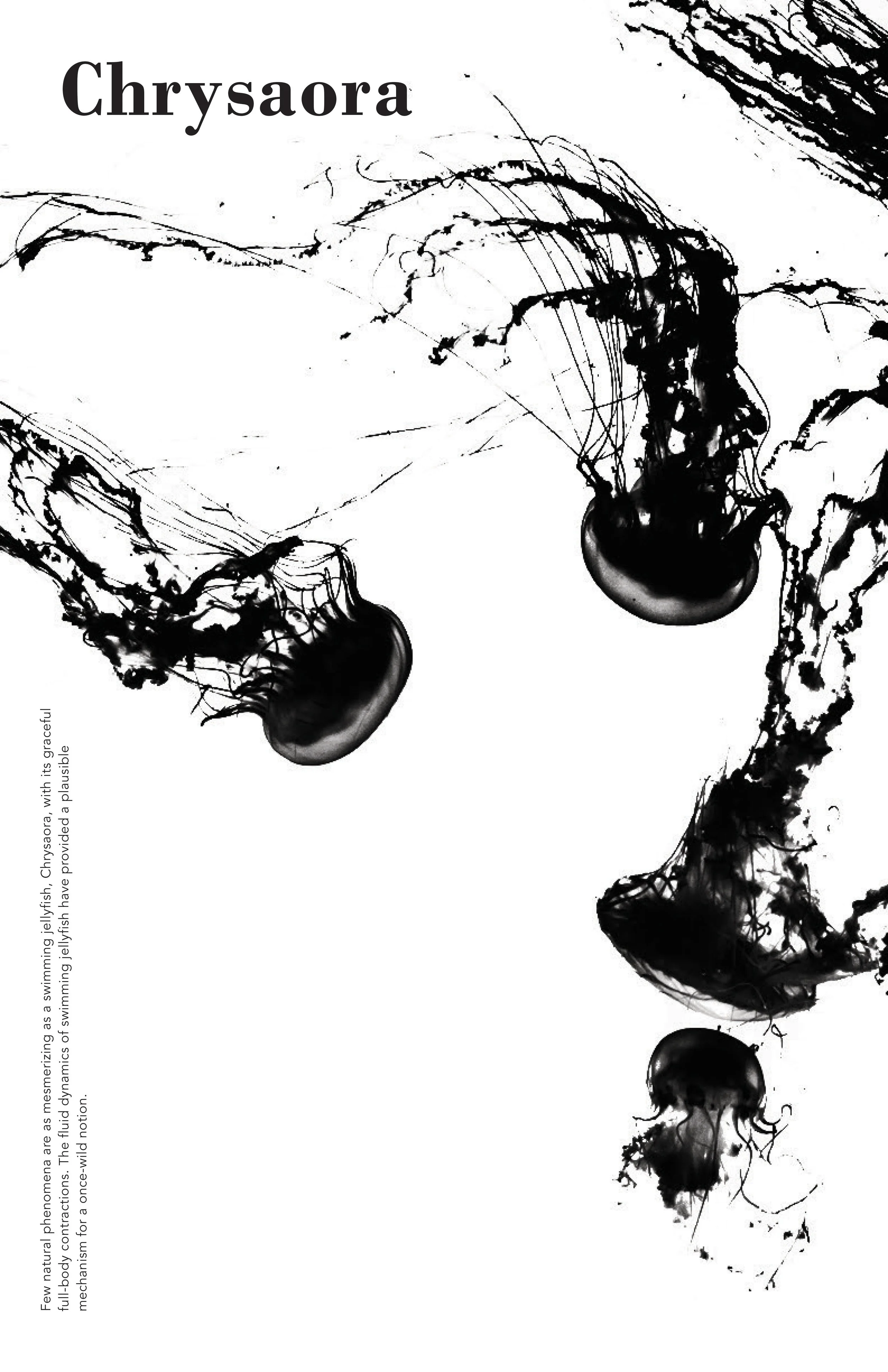 blk.jpg