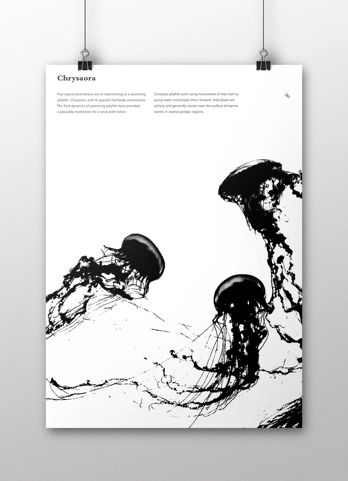 poster_mockup-jellyfish.jpg