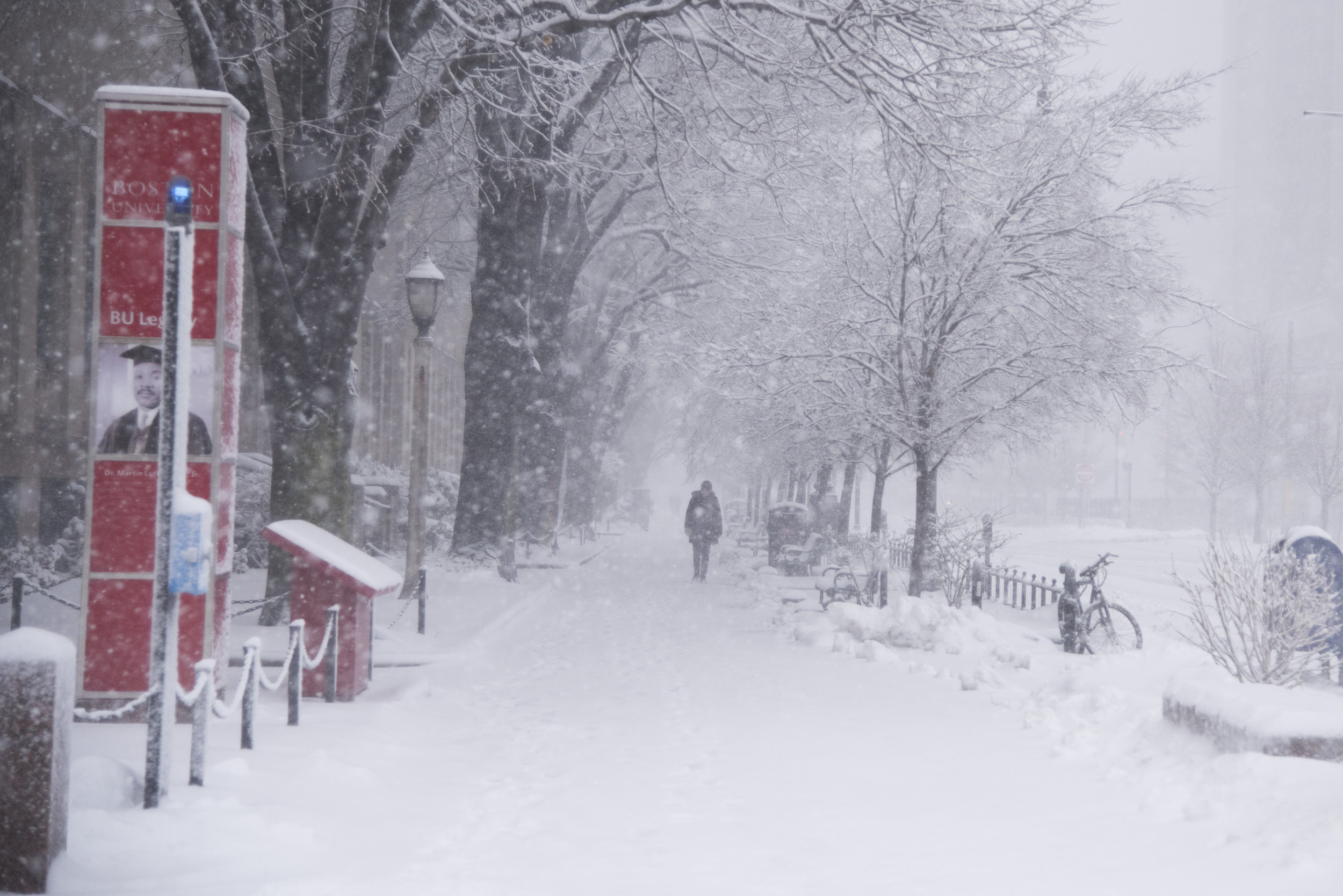  Commonwealth Avenue, usually bustling with Boston University students, becomes a snowy wonderland during New England's third nor'easter in two weeks on February 28. The storm brought blizzard-like conditions and the cancellation of classes at Boston