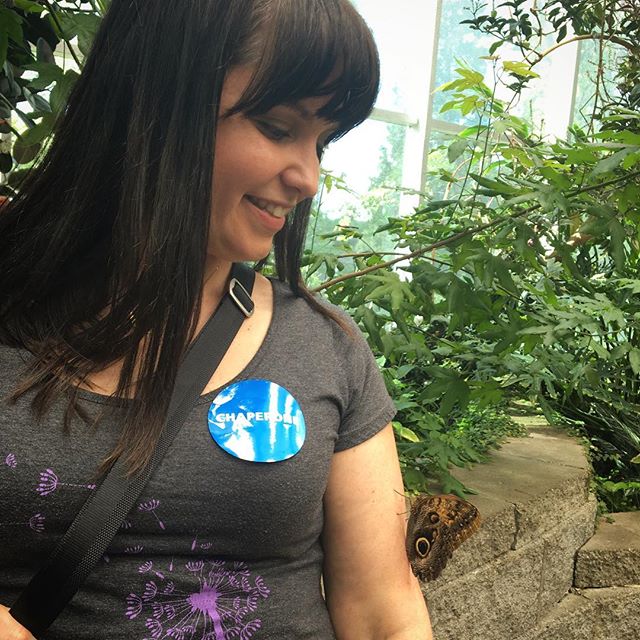 This owl butterfly landed on my arm during a field trip to the science center with my son. Max and I looked at each other and knew it was Eva saying hello. There were so many people in there with a bunch of butterflies, and this one chose me!

Now, i