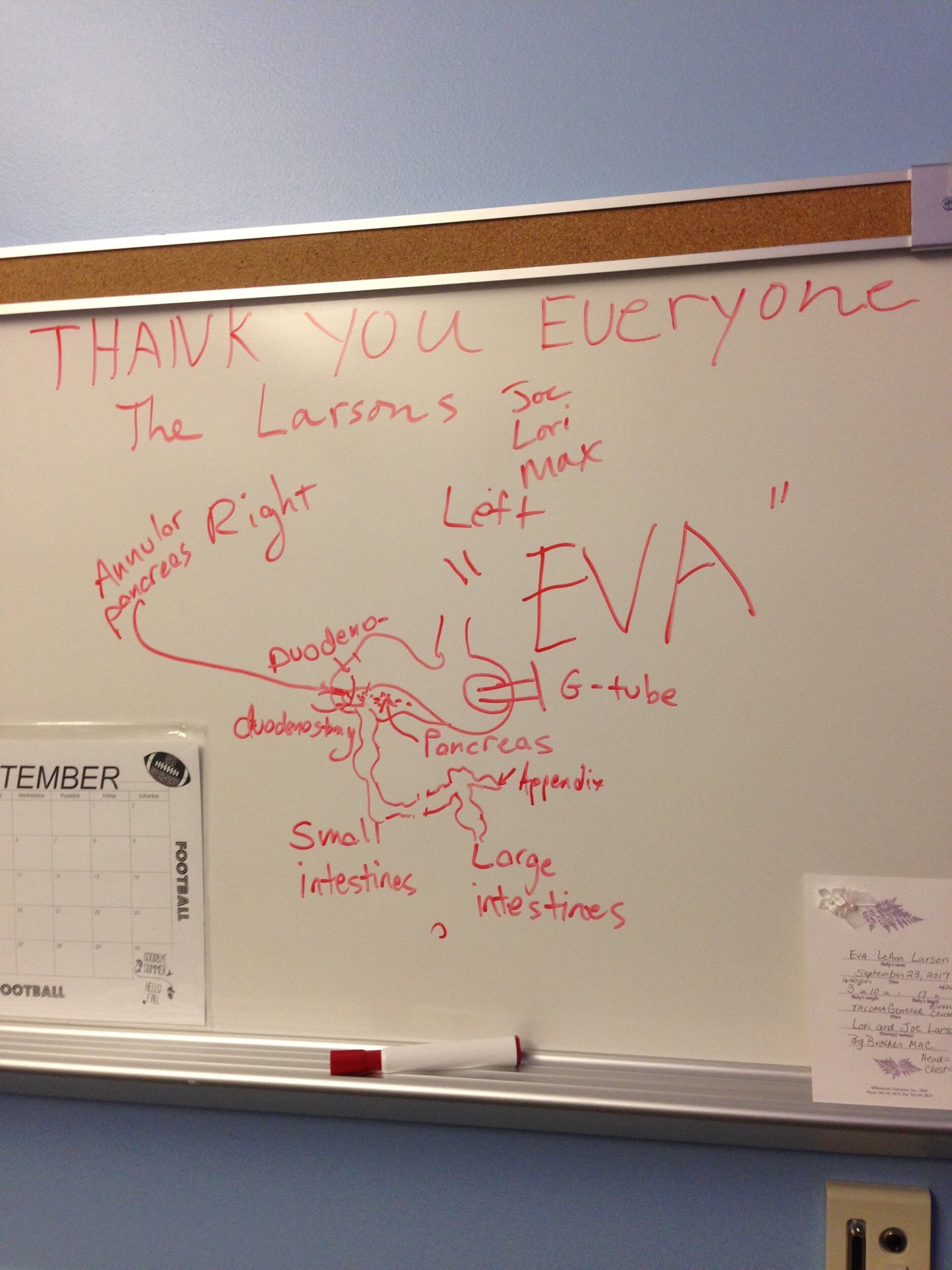 The surgeon’s explanation before surgery, with daddy’s gratitude written at the top.