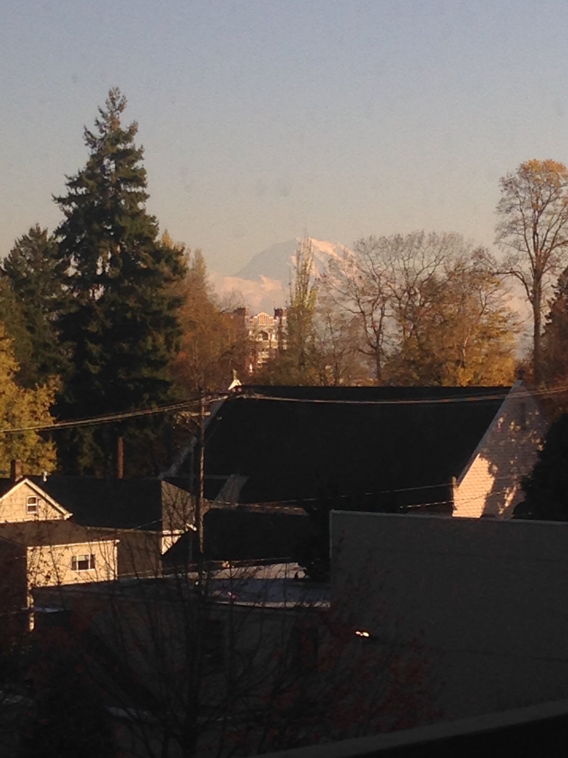 View of Mount Rainier from Eva’s room.