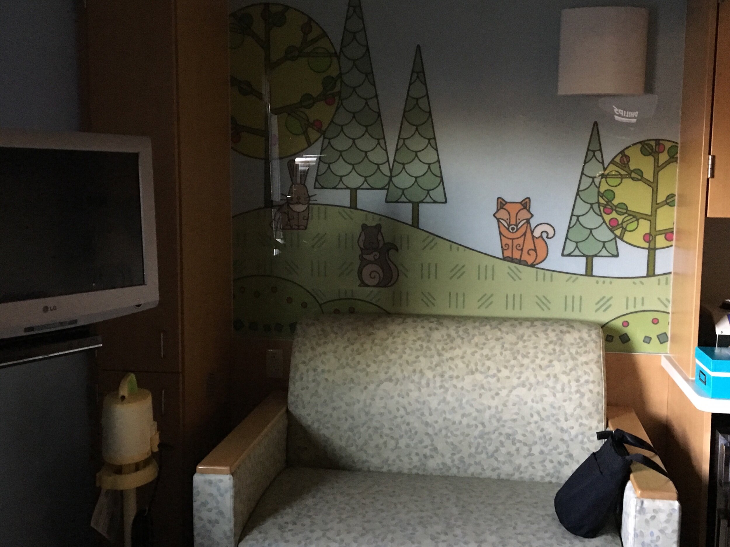 My fold-out bed when I slept with Eva. We sure lucked out with a recently remodeled NICU that has private rooms.