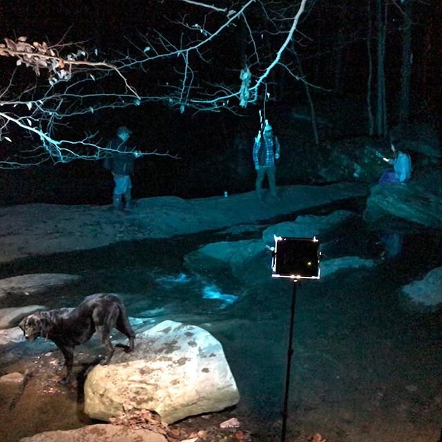 Nighttime photoshoot for some future paintings with artist assistant Begley in the foreground. #moonlight #blackvelvetpainting #nightlight #stagednarrative #begleysworld #tonyshore