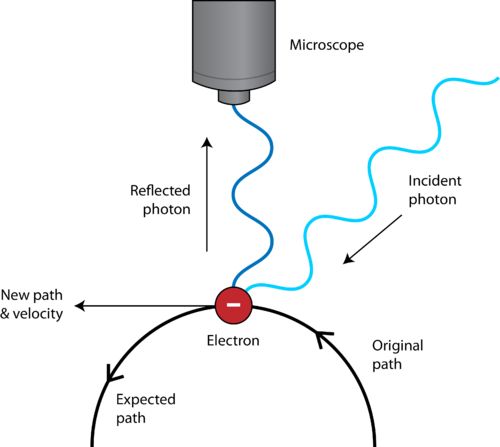 Interconnectivity of all things | Heisenberg uncertainty principle