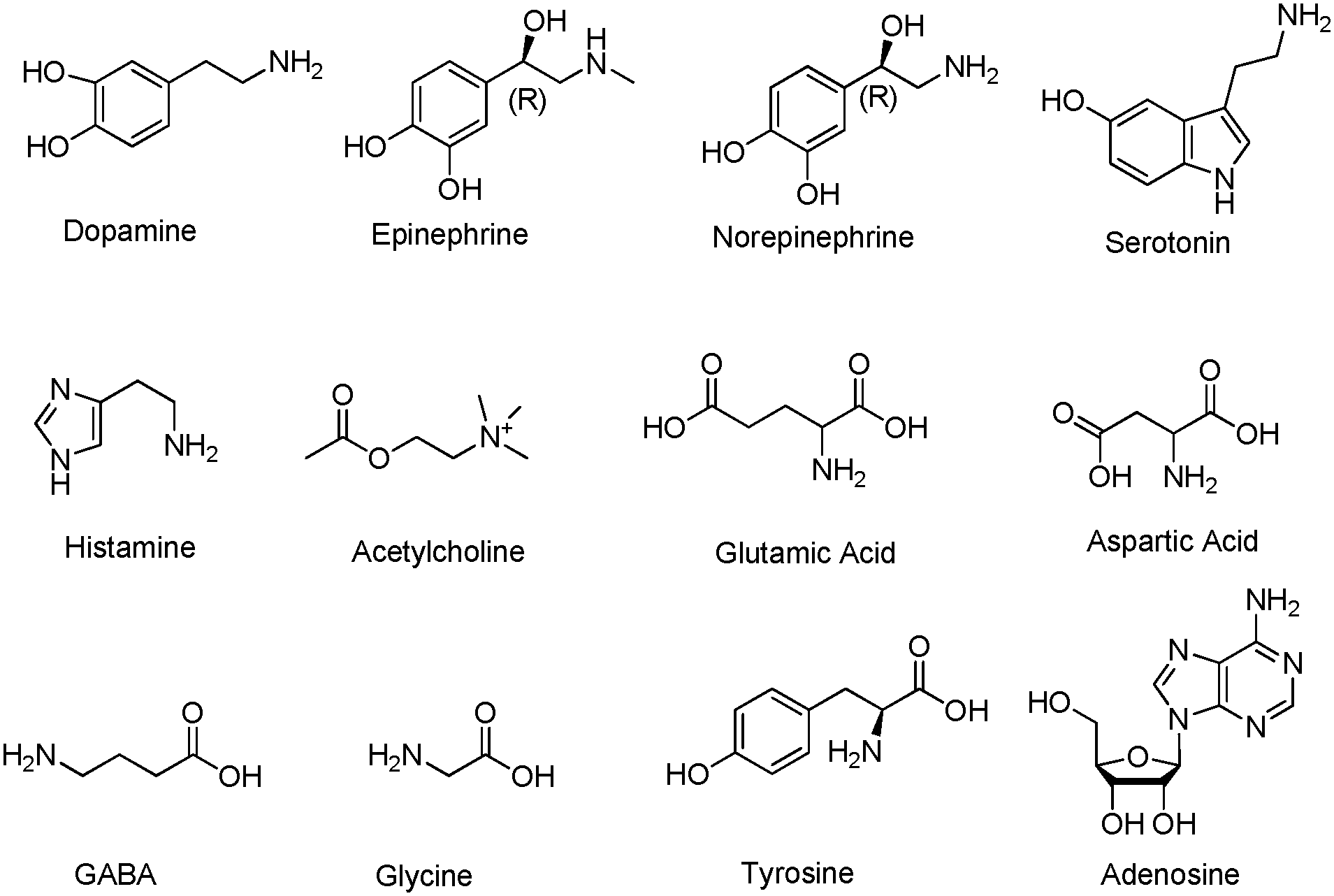 Neurotransmitters