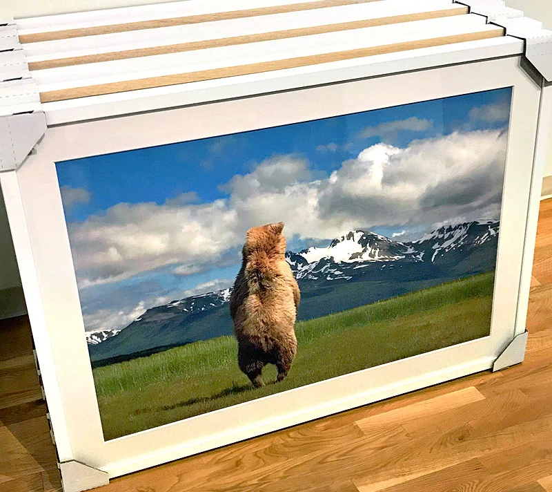 framedprints2.jpg