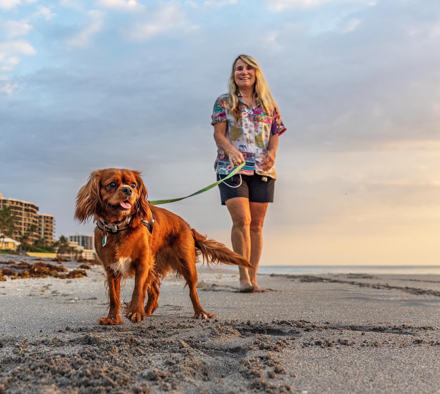 Florida beach vibes. #kingcharlescavalier #dogphotography
