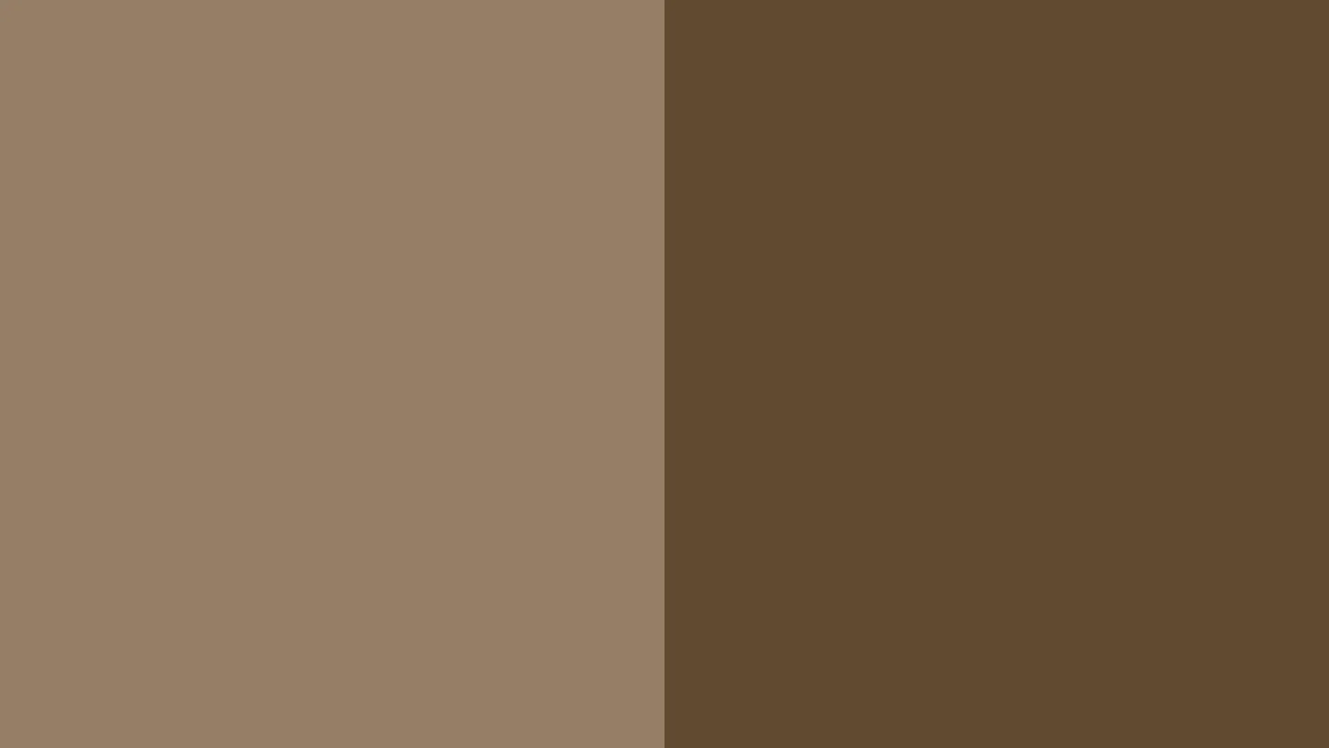 BrownBackground.jpg