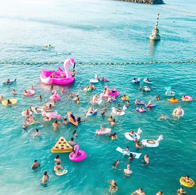 What fun down at Cottesloe Beach! Swim/walk/beach cricket tournament/floaty session... no matter the reason for you being at Cott, pop in to see us after for a cold bev and some tasty eats! 🤩⁣
⠀⠀⠀⠀⠀⠀⠀⠀⠀⁣
📷: @other_throssell  @cold_nips