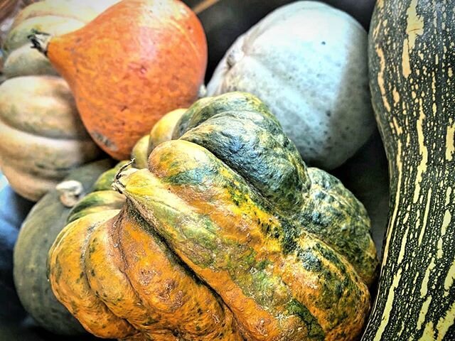 We are very excited to be featuring Warren Grange produce on our NEW MENU 😯

Local kings of the heirloom vegetable, Warren Grange celebrates the rare and unusual.

Look at these funky as hell pumpkins!
🥕🍅🍆🍅🥕🍆
Delicious AND nutritious, can't sa