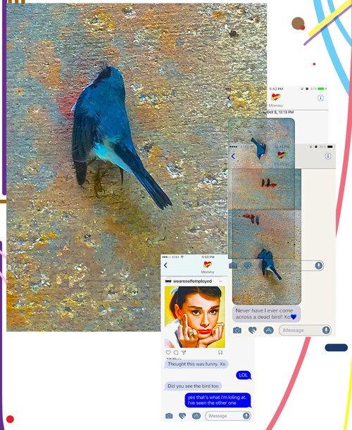 bird+5.jpeg