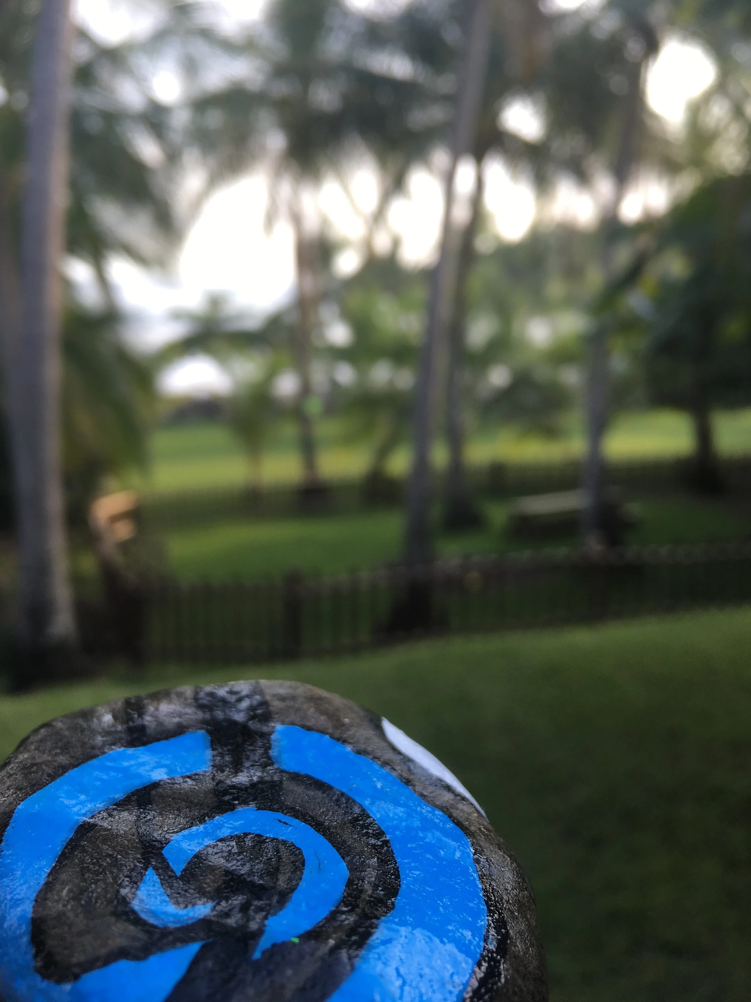 Found the heart of Tafiti!