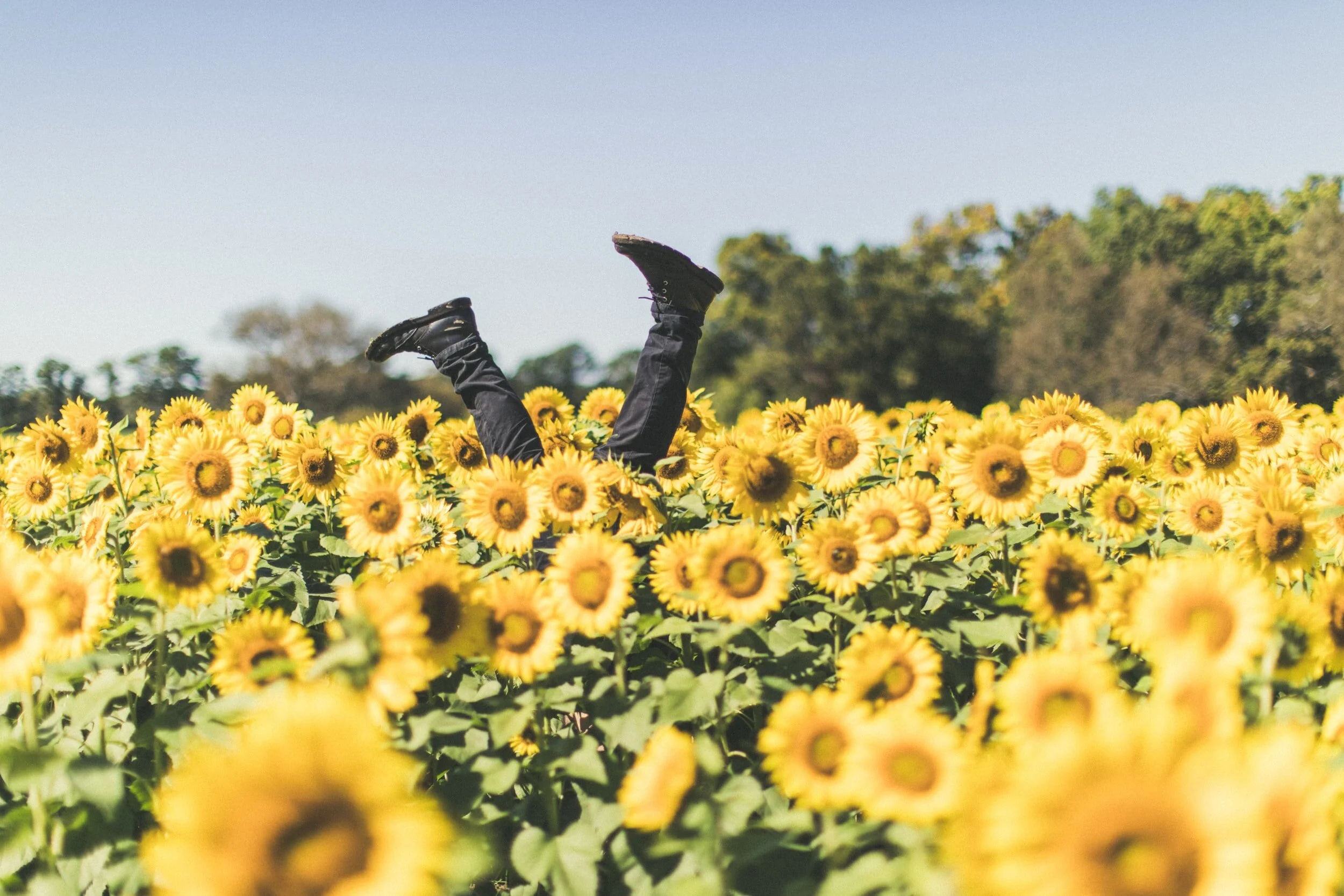 unsplash-image-Z7-ZhxCJ4H0.jpg