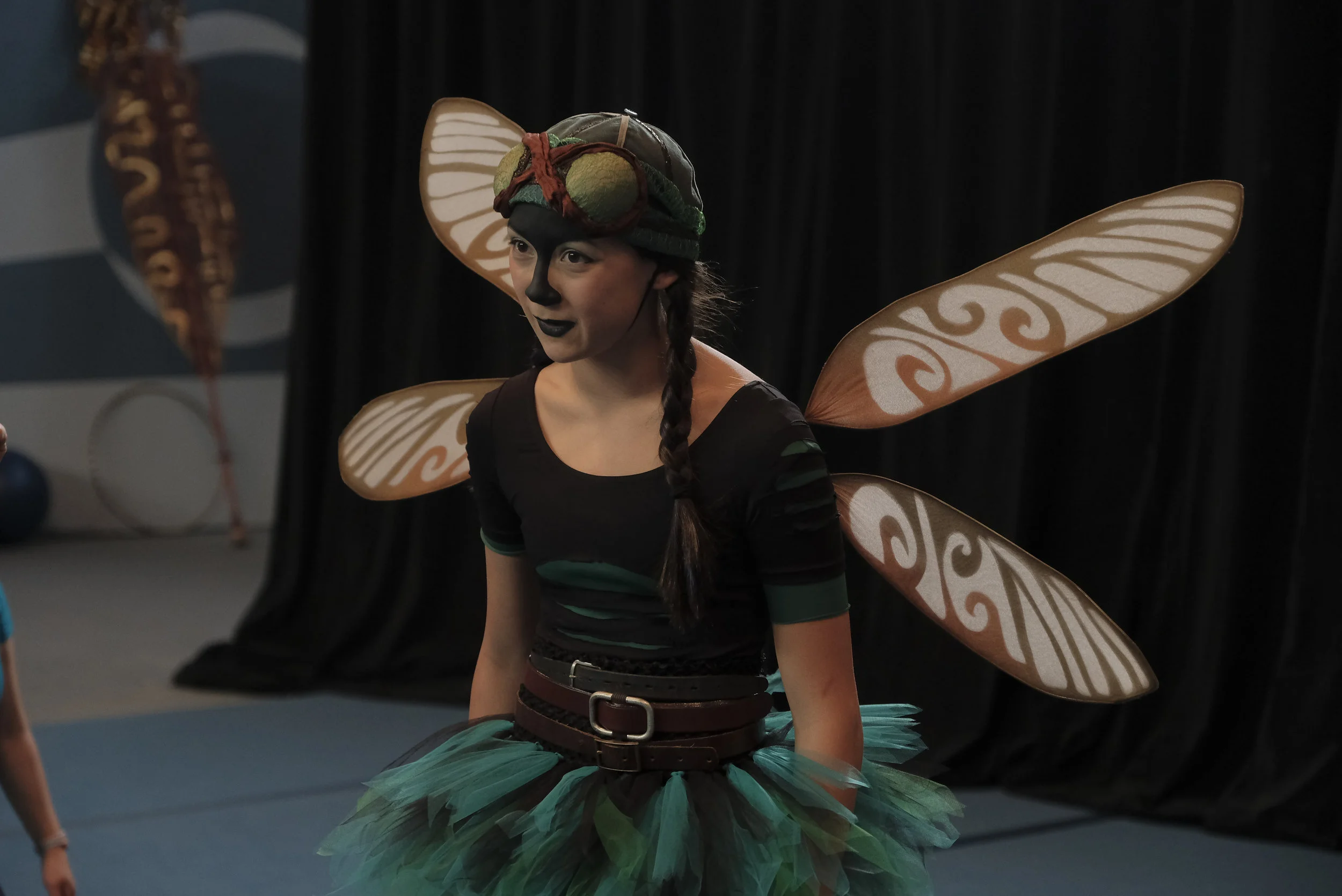 BTA_DragonFly.JPG