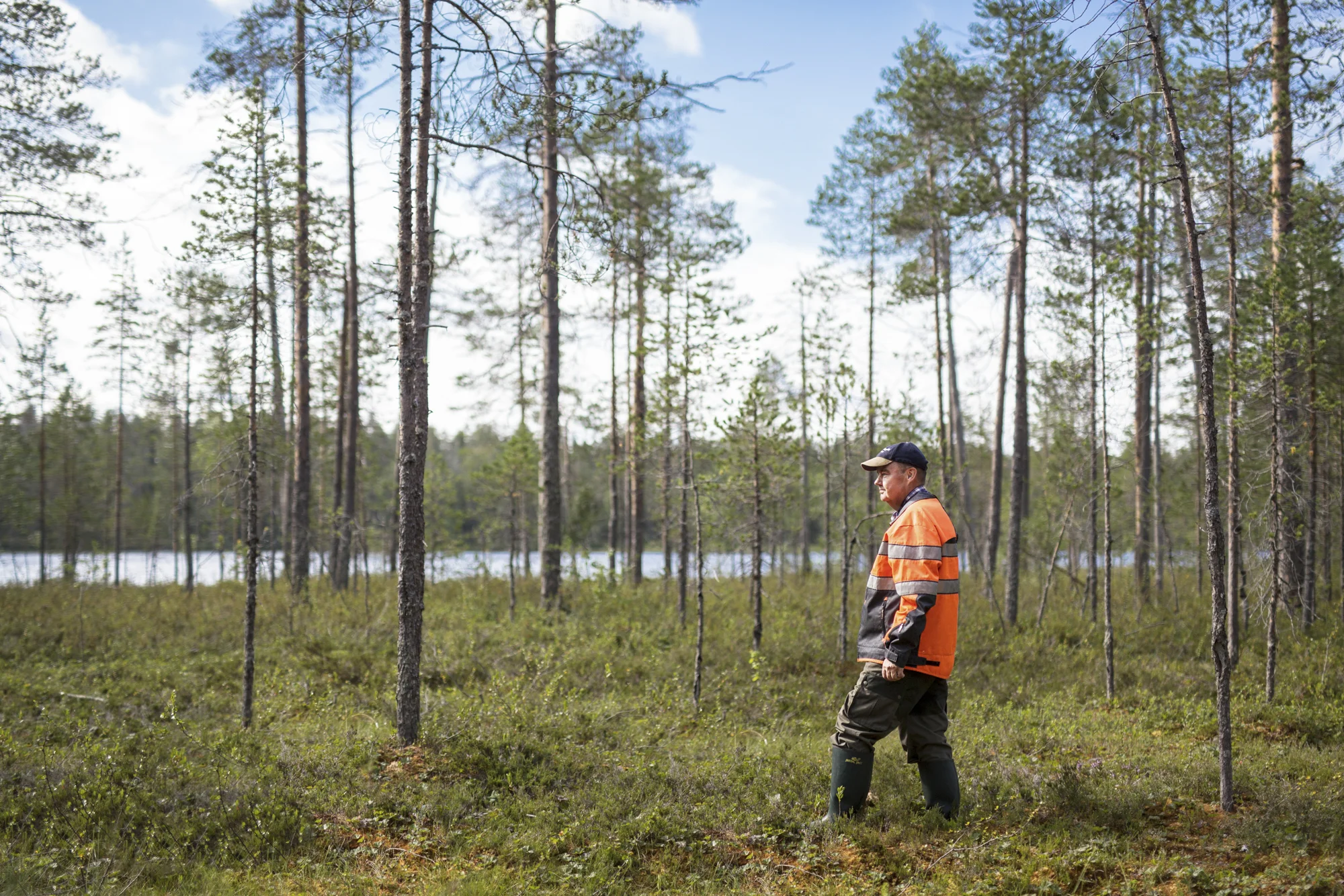 MAANMITTAUSLAITOS 12_1.JPG