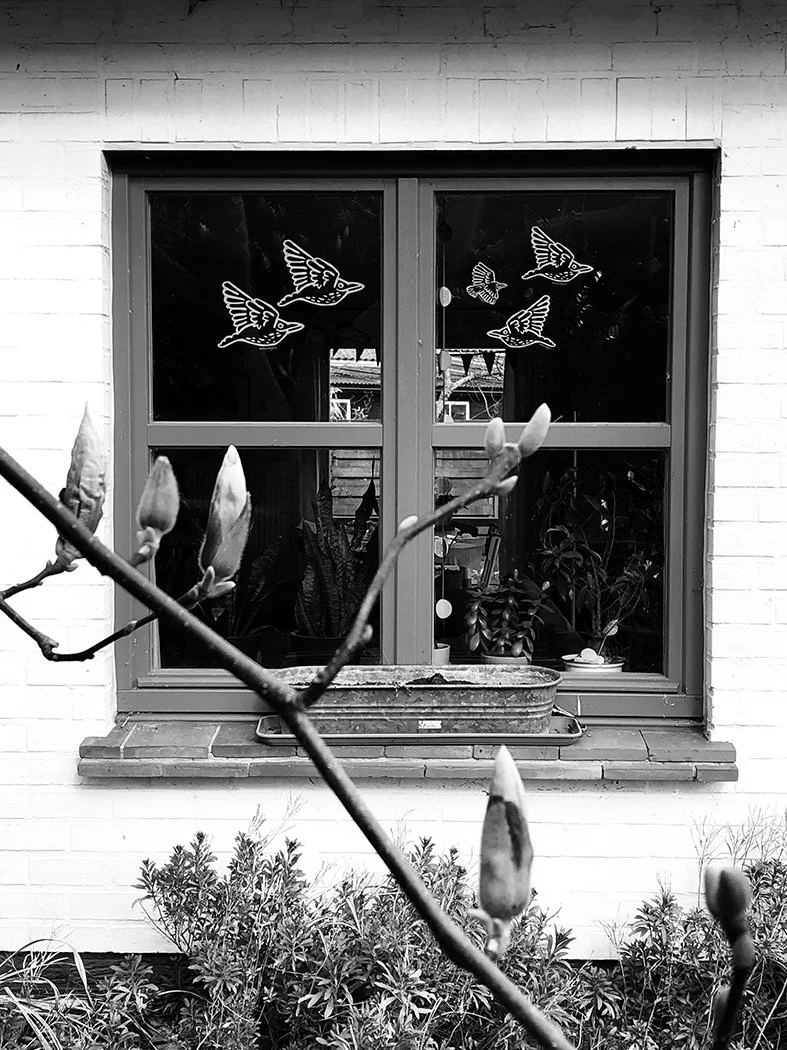 herbruikbare raamstickers